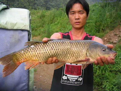 [물갈이 전과후 조황 차이없네요!!]