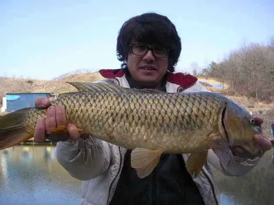 3월 두번째 조황