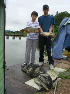 [7월 네번째 조황]