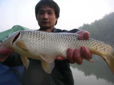 [5월 두번째 조황]