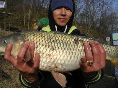 봄마중 괴기마중~~~