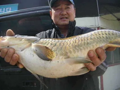 괴기 이눔들,,,,,,,,,