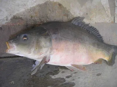 [낚시하기 좋은계절]