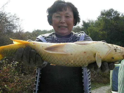 가을 망상(妄想)