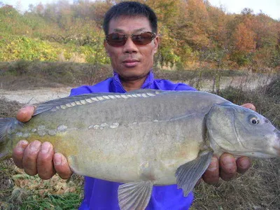 [물속세상은 정말 알기어려워~~~]