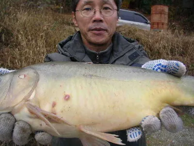 [가을낚시 쉽지않죠?]