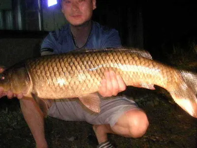 복더위에 건강하세요!!