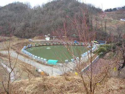 2011년 인사드립니다.