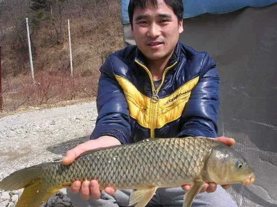 이제부터 시작~~~