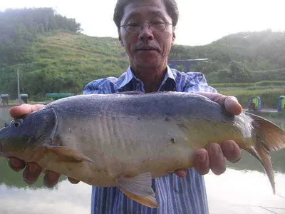 [대박 하셨군요~~~]