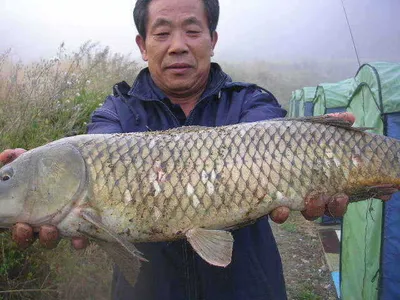 [ 대물잔치는 계속됩니다!!!]