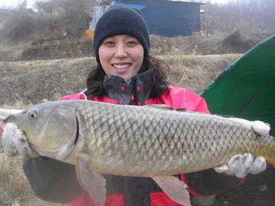 [누렁이1호~~축하드립니다]