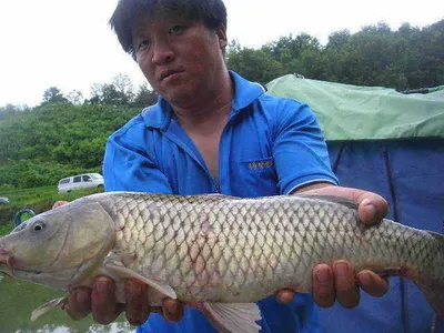 [괴기들아~~화이팅!!!]