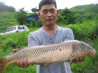 [비 온후의 대박예감]