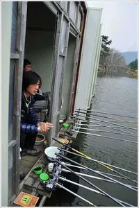 {{회암}} 월척이상의 덩어리급 붕어들만을 방류...