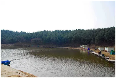 {{회암}} 새우를 찾아 다니는 그님이...