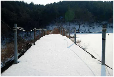 부진한 조황에 일희일비(一喜一悲)