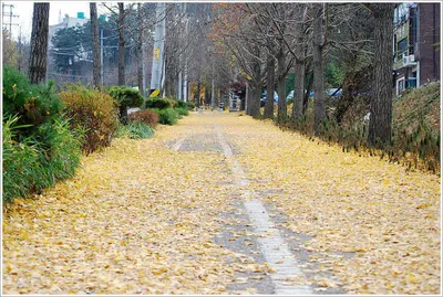 {{회암}} 낚시터로 향하는 발걸음...