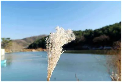 이어지는 주말의 조황...