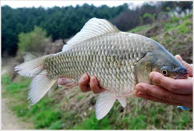 이 조그만 소류지에서...