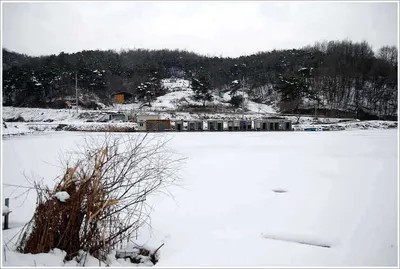 겨울과 봄의 공존...
