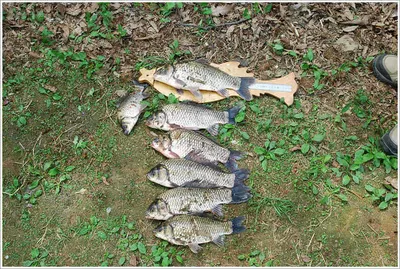 수초에서 무슨일이...