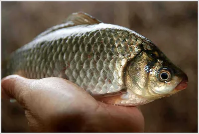 {{회암}} 무심한 시간의 끝자락 창가에...