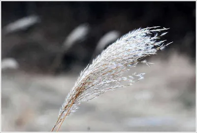 팔이 아플정도로...