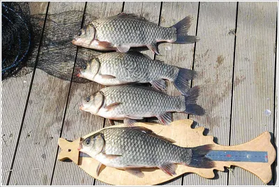 회암 그곳에는...