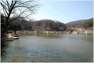 좌대.방가로 요금 인하 합니다.