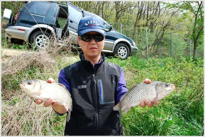 회암의 주중 스케치...