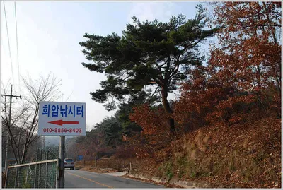 사노라면... (부제:36.2센티)