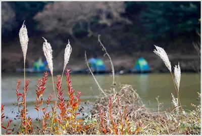 물가에 함깨하는 이유는...