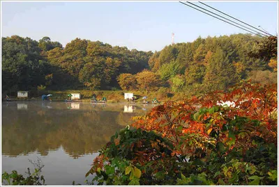 {{회암지}} 회암의 대물 이야기...