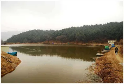 {{회암}}  관 고기급의 조과를 거두고...