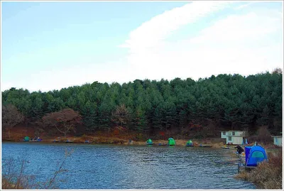 이것이 입동의 회암 토종붕어...