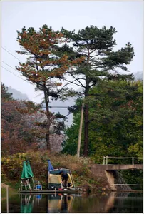 내 인생에 가을이 오면...