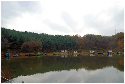 {{회암지}} 내 낚시대를 돌려주오~