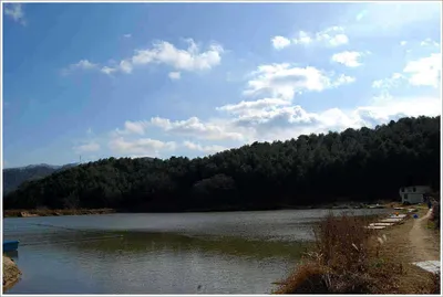 {{회암}} 서리를 맞이하는 굵은 붕어들...