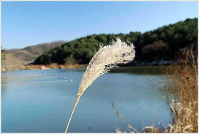 {{회암}} 분위기만 좋았습니다...