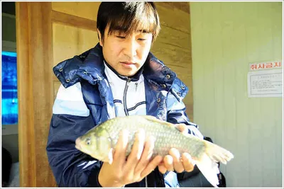 {{회암}} 가을밤이 지나고 아침의 햇살이...