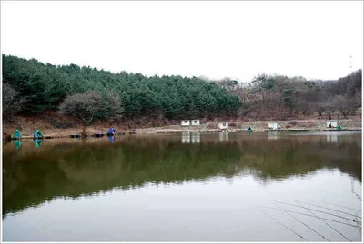 {{회암}} 민물새우가 이뻐 보이는 까닭은...