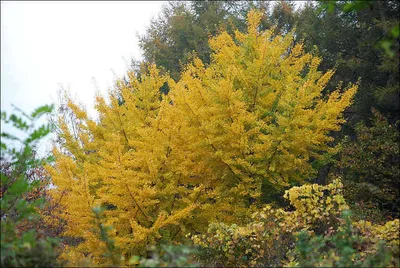 10월의 마지막 날 풍경...