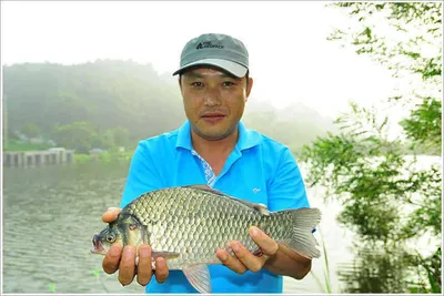 {{회암}} 모두 잠든후에 4짜급에 육박하는 덩어리가...