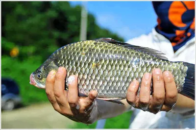 {{회암}} 내일을 준비하며...