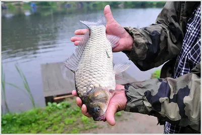 {{회암}}  밤 케미 불빛을 밝히며...