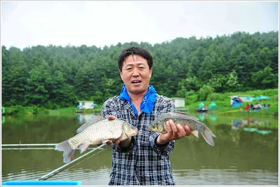 {{회암}} 반딧불이가 무리지어 밤을 밝히며 날고 있는...