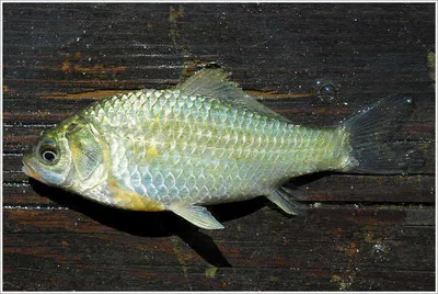 {{회암}} 일상의 소소한 풍경들...