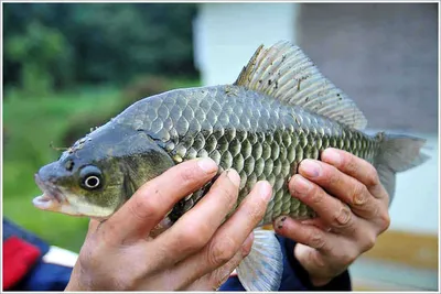 {{회암}} 10월16일(토요일) 친선 낚시대회