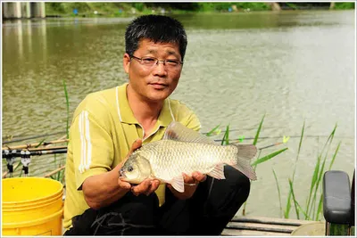 {{회암}}  한여름의 비의 노래가...